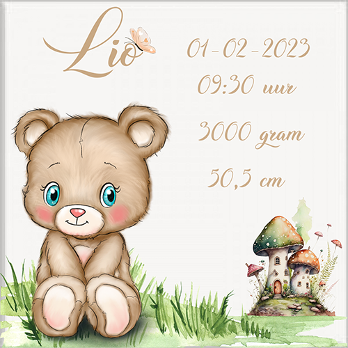 Geboortetegel 15x15cm gepersonaliseerd. - Image 9