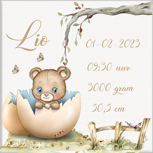 Geboortetegel 15x15cm gepersonaliseerd. - Image 7
