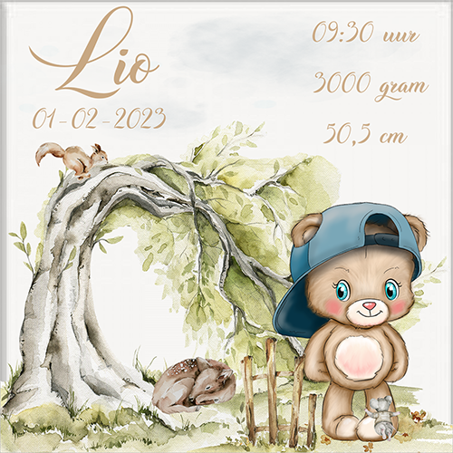 Geboortetegel 15x15cm gepersonaliseerd. - Image 6
