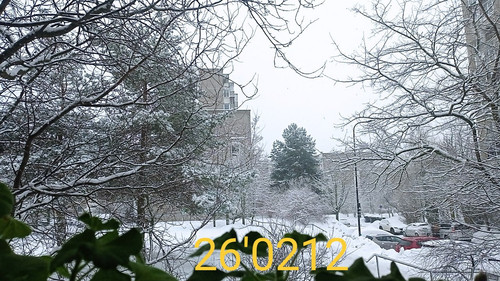 IMG 20260212 100530.jpg