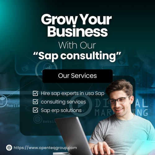 Sap consulting services | Sap consulting.jpg