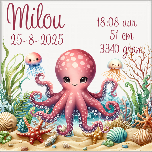 Geboortetegel 15x15cm gepersonaliseerd. - Image 3