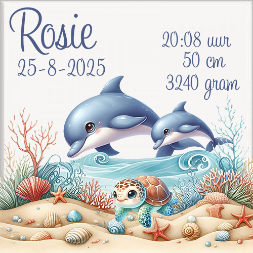 Geboortetegel 15x15cm gepersonaliseerd. - Image 2