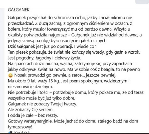 HA4ZAKZa8AAm4fq?format=jpg.jpg
