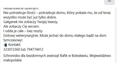 HA4ZB7EXoAA6KQg?format=jpg.jpg