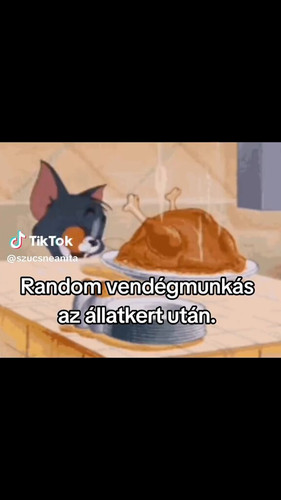 eiEB1gx HAK2KLfK.jpg