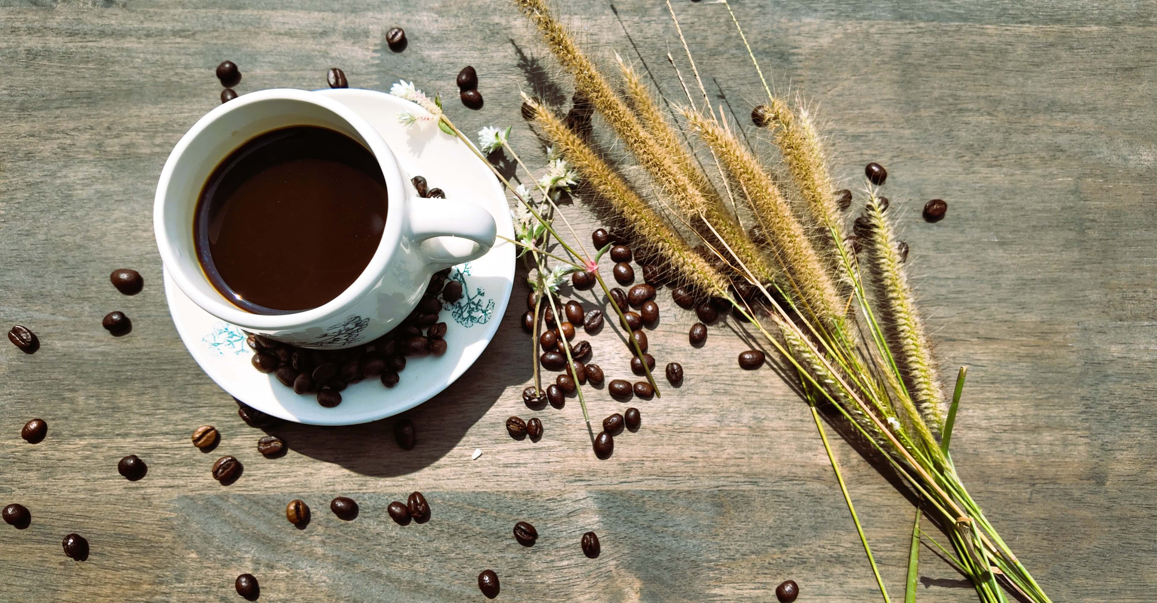 Close-up of rich Thunder Mule Coffee crema – intense dark chocolate and caramel from Chiang Mai highlands