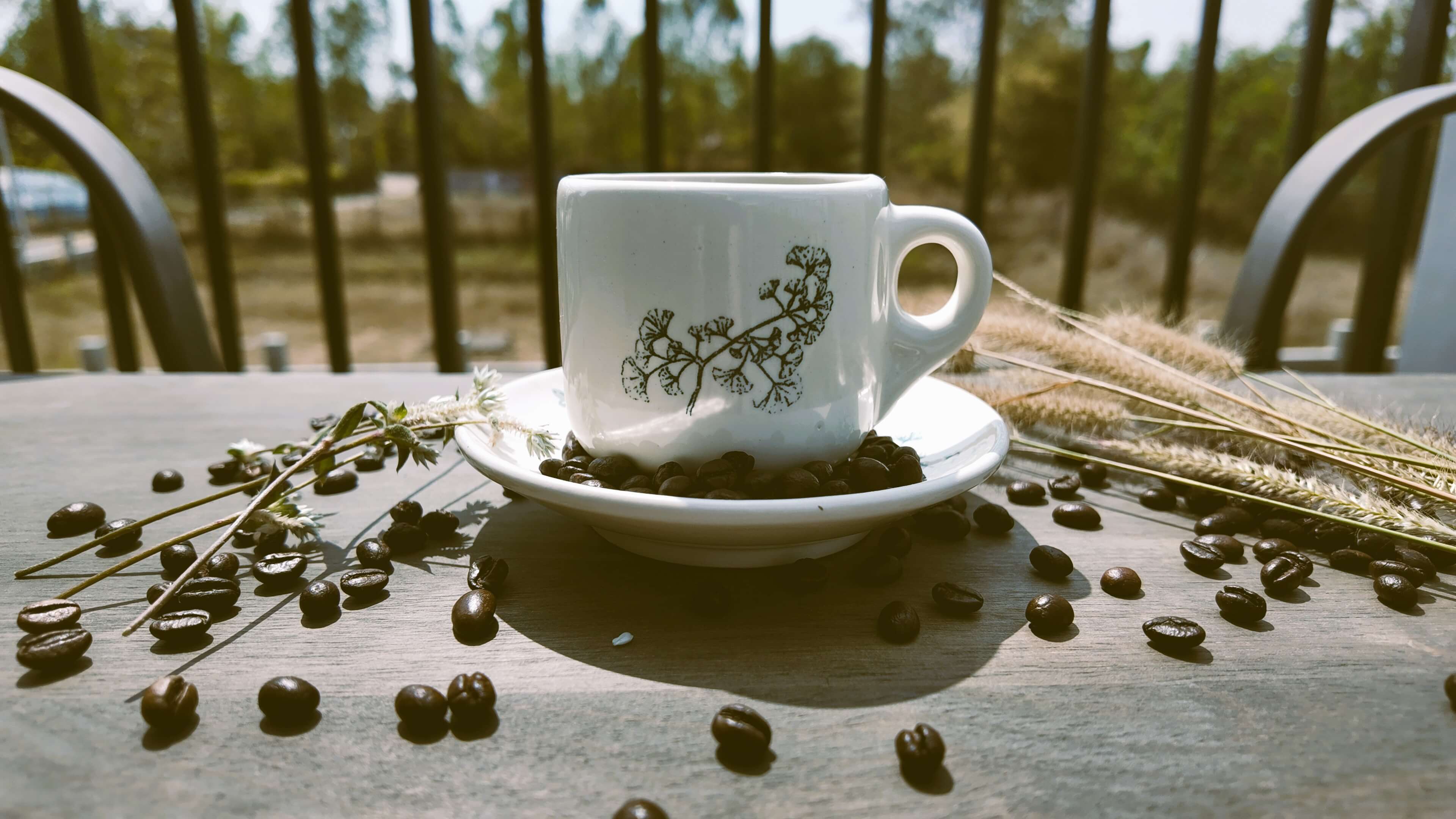 Thunder Mule Coffee pack with poured cup – fresh roasted high-caffeine blend ready to order