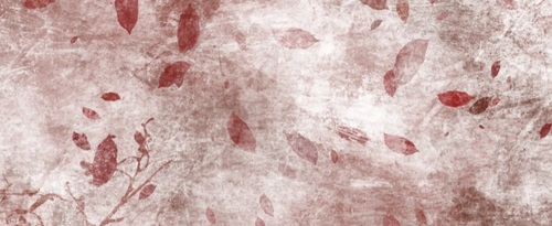 IMG 20260213 031209 edit 529774019560307.png