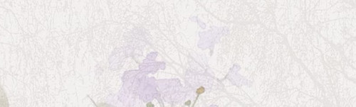 Camera 1040g3k031kl441j3io505o1a29bg81uri8tcv9g edit 530549218460189.jpg