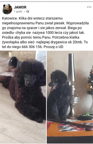 HA9dD1SaIAEDYkC.jpg