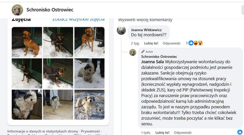 HAaE wsW4AAPIvF?format=jpg.1