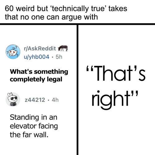 funny technically truth posts.jpg