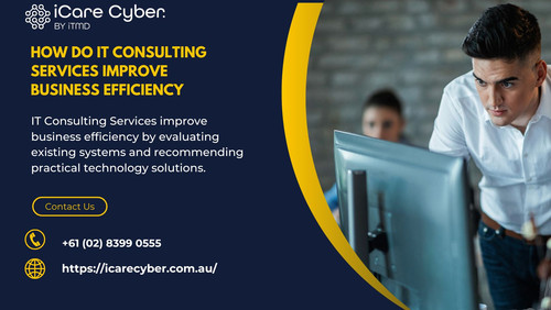 How Do IT Consulting Services Improve Business Efficiency.jpg