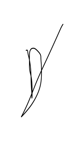 c116670f1111504su735153 20260212114003 fd14f9ed 7333 4aad 98ab 06a248535012.png