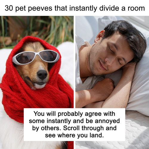 30 pet peeves.jpg