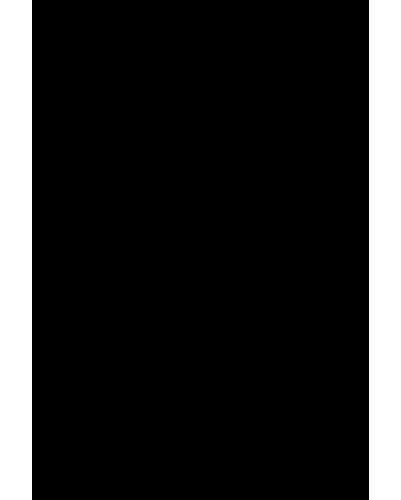 GIF 20260212 142925 120.gif
