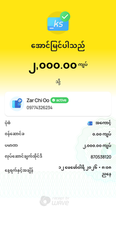 wavepay 870538120 1770903532605.png