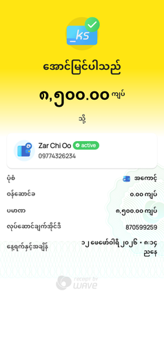 wavepay 870599259 1770903842113.png