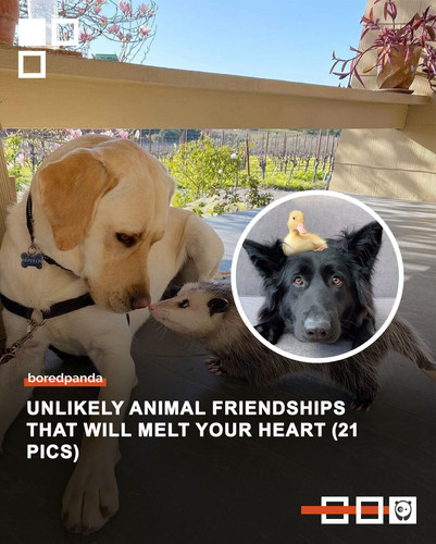 Community share 3 (2).jpg