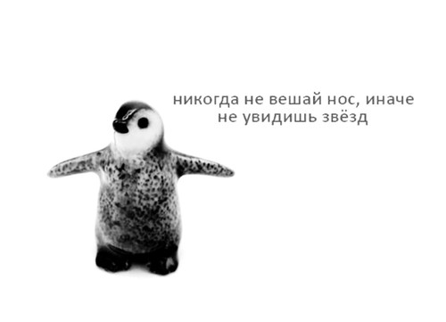 4849.jpg
