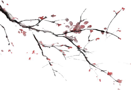 retouch 2026021300502549.png