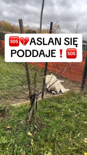 IbSVUd2t34zKybdJ.jpg