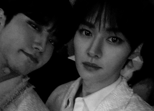 file 509.jpg