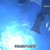 1000141754.gif