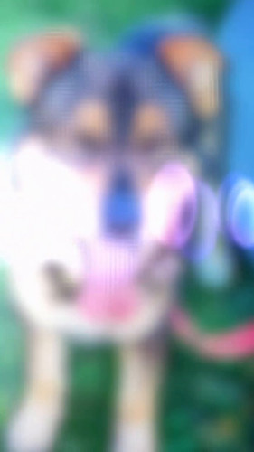 lplShGT0 afv3qna.jpg