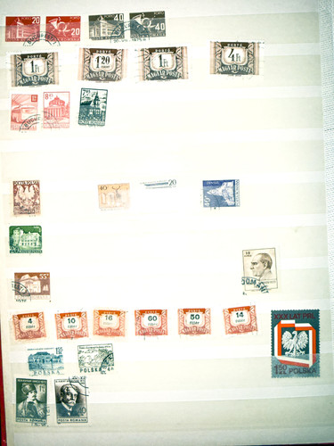 IMG 1056 copy.jpg