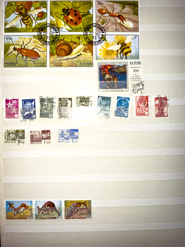 IMG 1072 copy.jpg