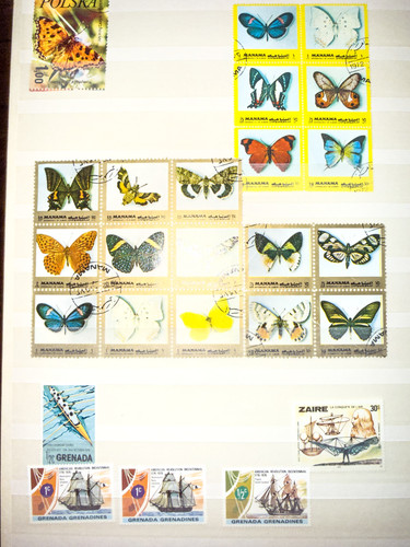 IMG 1068 copy.jpg
