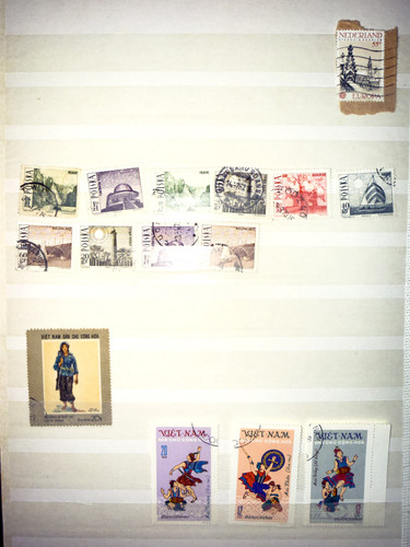 IMG 1066 copy.jpg