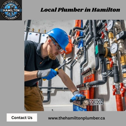 Local Plumber in Hamilton (1).jpg