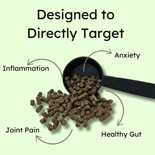 designed to directly support d06fb908 d629 4207 b924 7ae9c2257d73.png