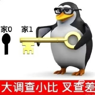 Camera XHS 17708656408491040g00831on55cgu500g5olmvc3mt4fkoumdjuo.1