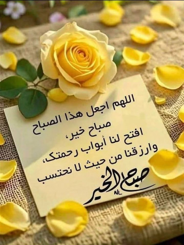 HA7Tinib0AAhop .1