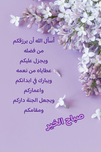 HA7XmxYbsAArZ K.1