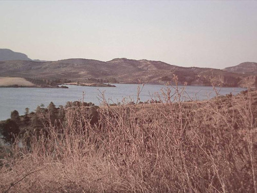 a76bc2a2f96e.jpg