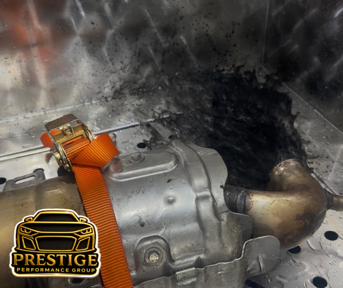 Untitled design (1).png