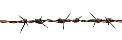image 2026 02 12 220313420.png