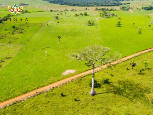 Migaa Golf Estate Plots for Sale – 1/4 Acre Prime Land.png