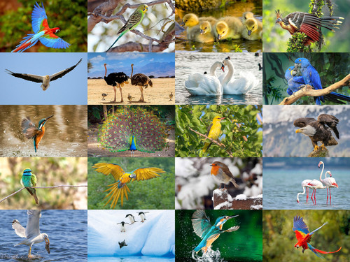 ' Glorified is The All-Mighty Creator '.jpg