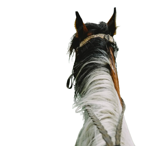 1000 F 212674324 SRir5AKDLjEVO6Hft54V9JmXjIskPuIh removebg preview.png