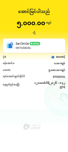 wavepay 870920154 1770905564208.png