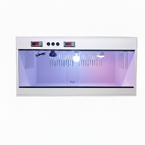 Gemini Generated Image q07gjnq07gjnq07g.png