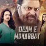 t354 daam e mohabbat card