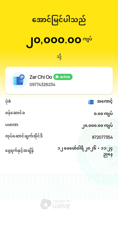 wavepay 872077354 1770915296010.png