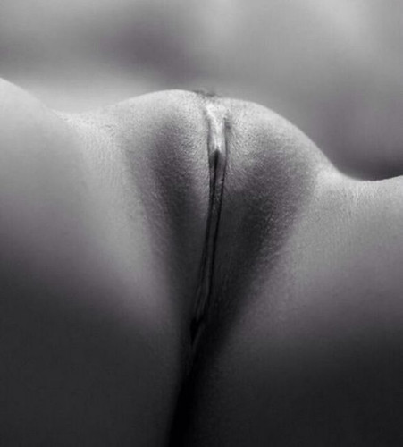 black and white 9284.jpg